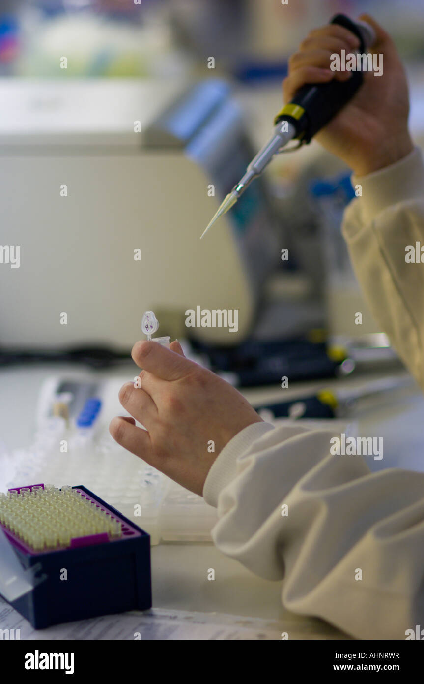 Research scientist at work in laboratory Stock Photo