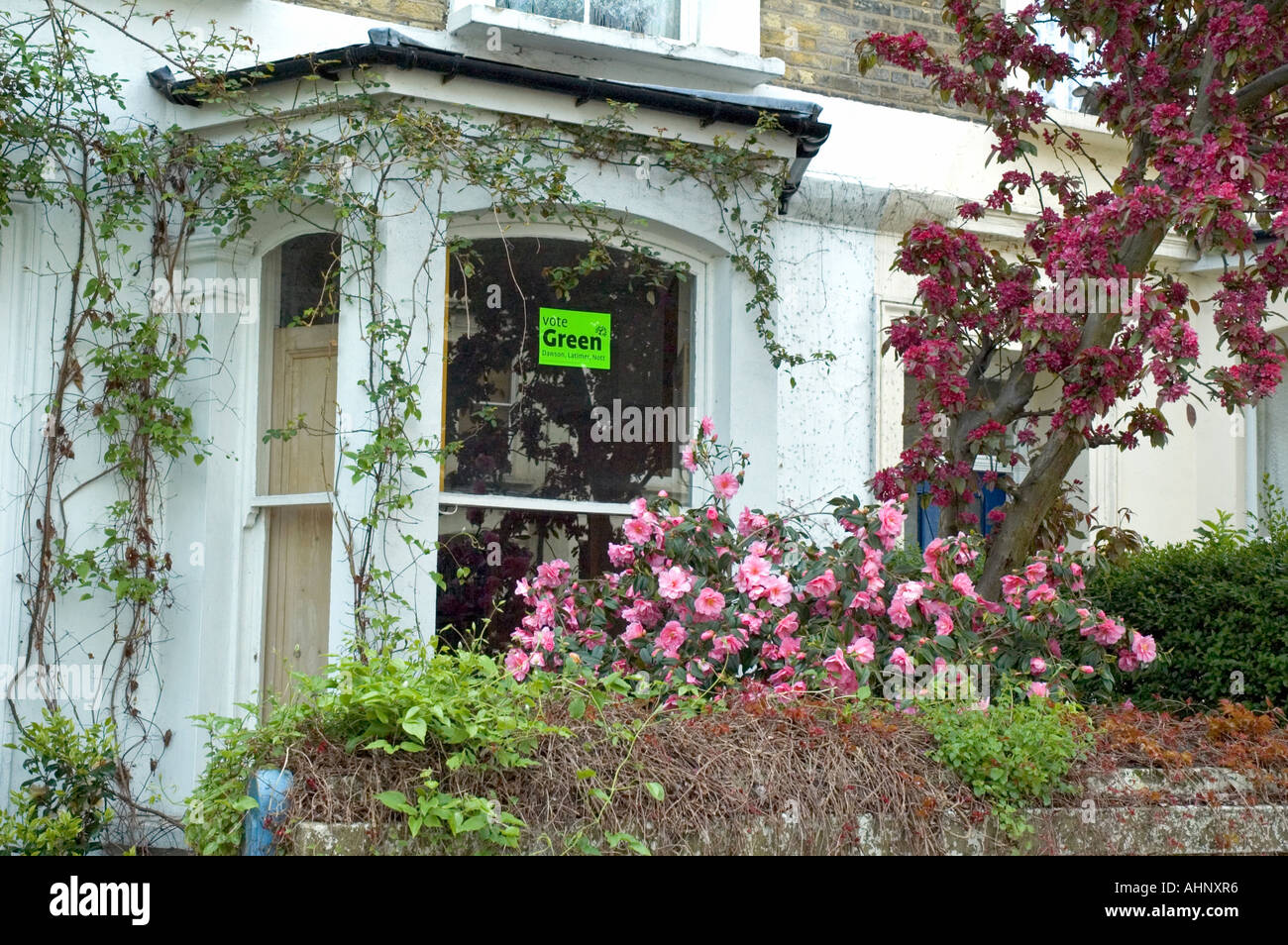 A Green Party poster in the window with a green front garden in Holloway Highbury West Ward 2006 local council elections Stock Photo