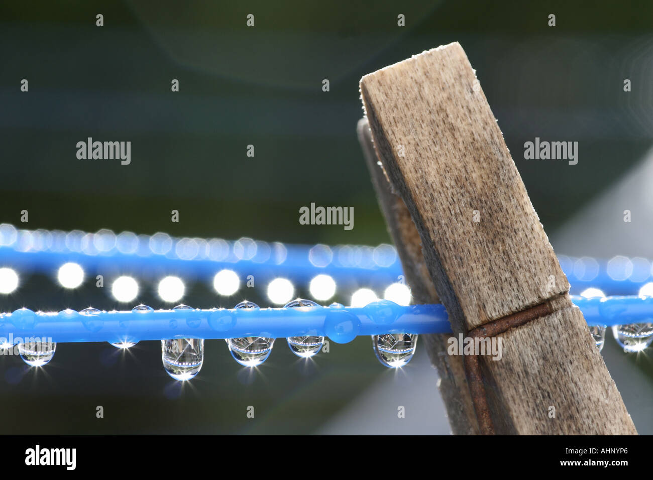 Peg on Washing Line Stock Photo Alamy