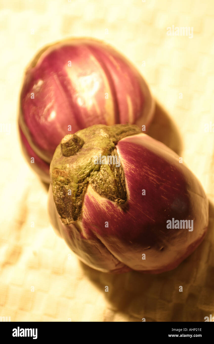 New Jersey Grown Italian Eggplants Stock Photo Alamy