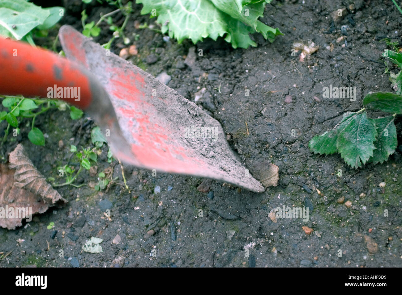 shovel in a garden Stock Photo - Alamy