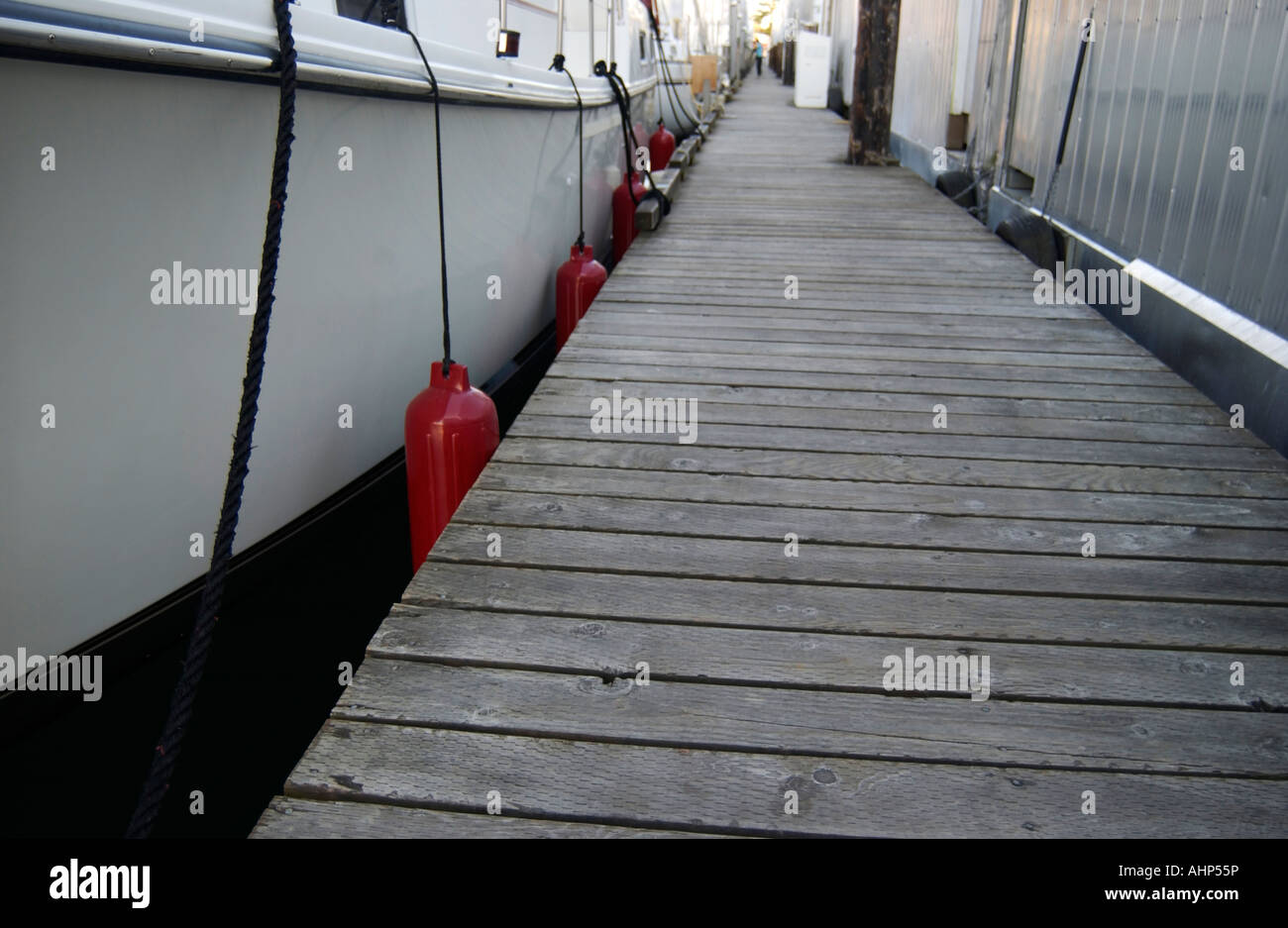 Boats docked at a marina in Sidney BC Stock Photo Alamy