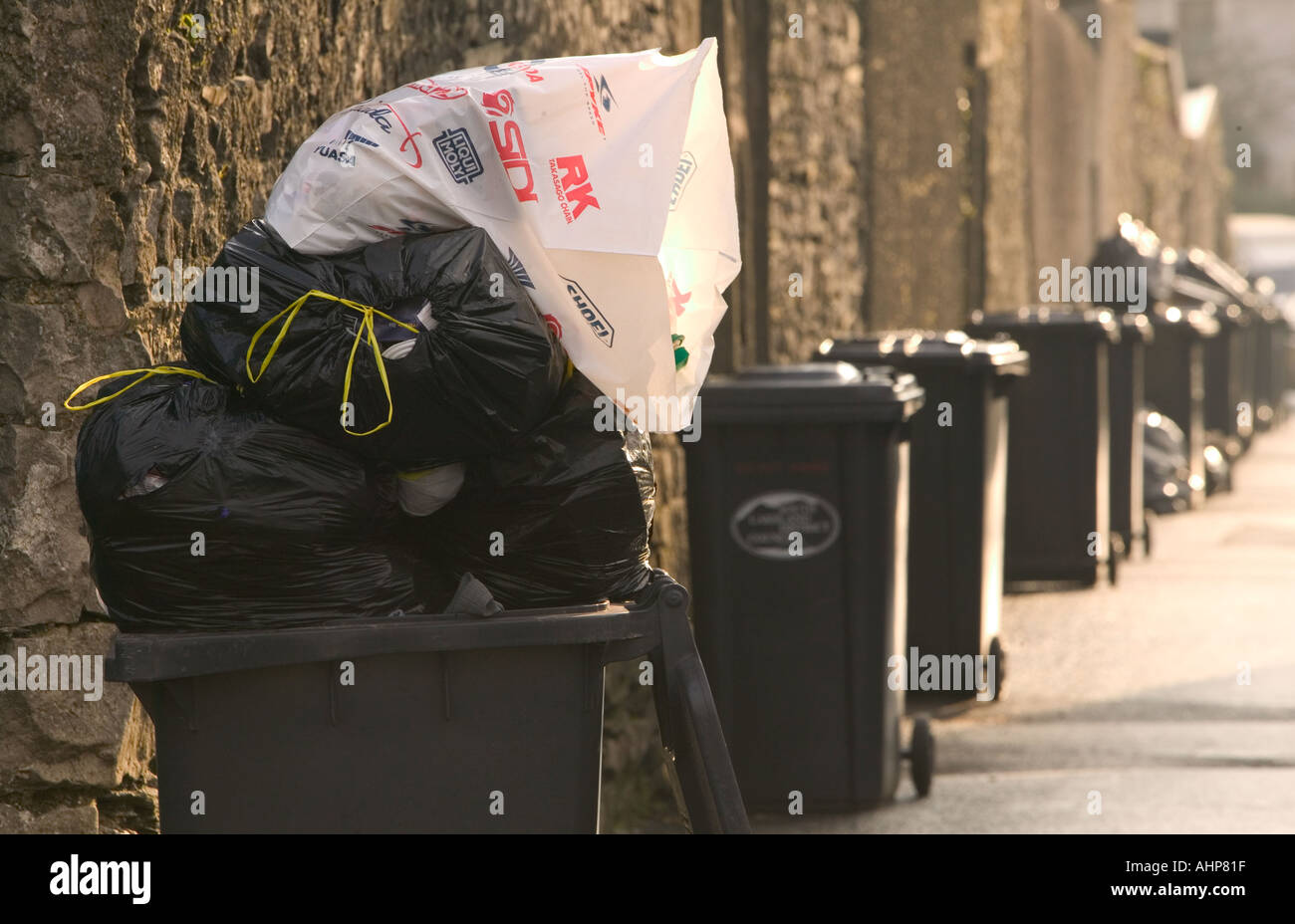 dustbins waiting to be emptied Stock Photo Alamy