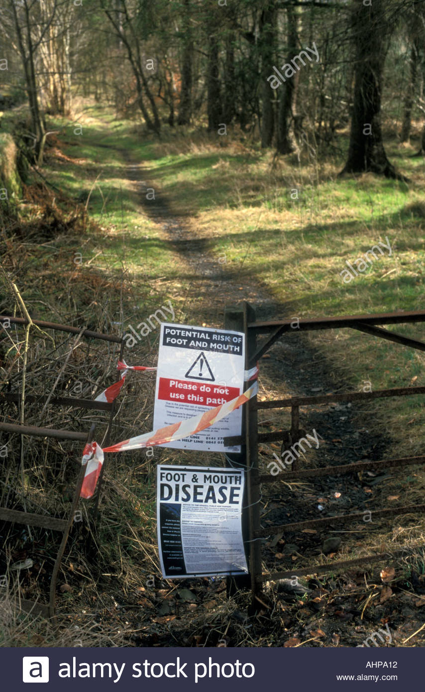 Foot And Mouth 2001 High Resolution Stock Photography and Images Alamy
