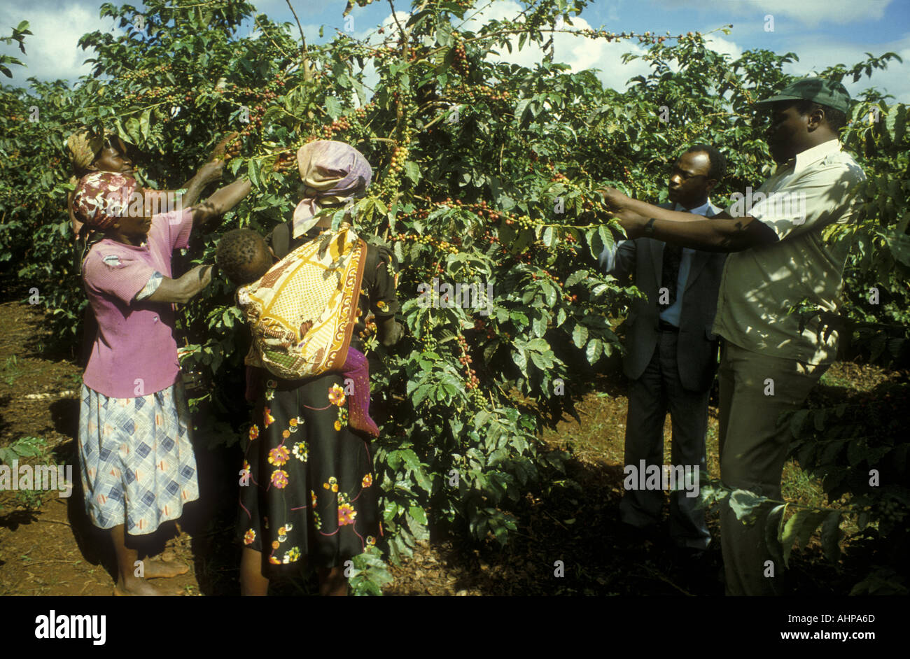 Thika kenya hires stock photography and images Alamy