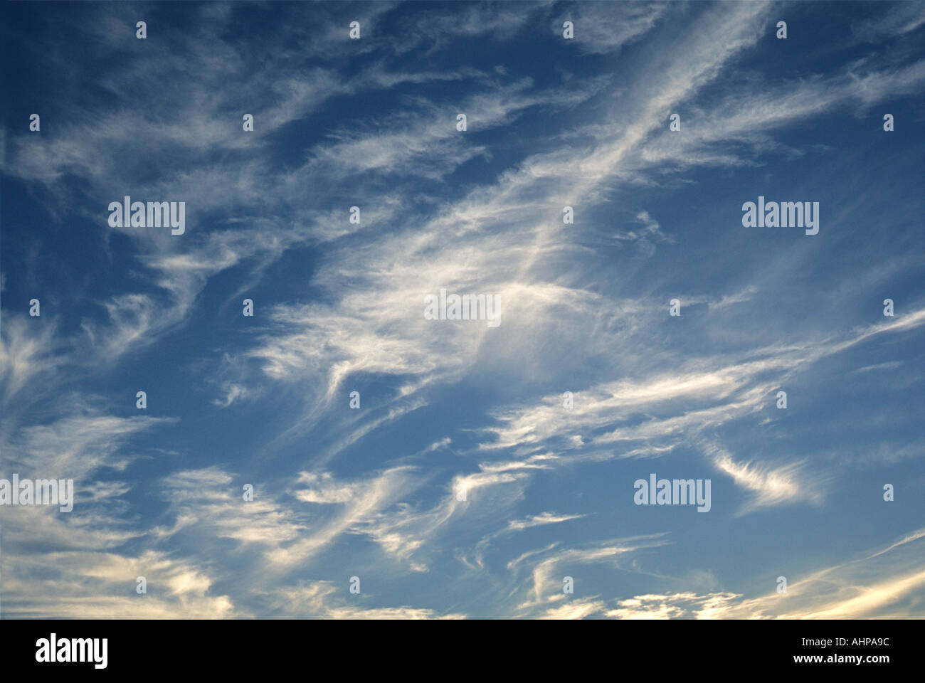 Wild blue hi-res stock photography and images - Alamy