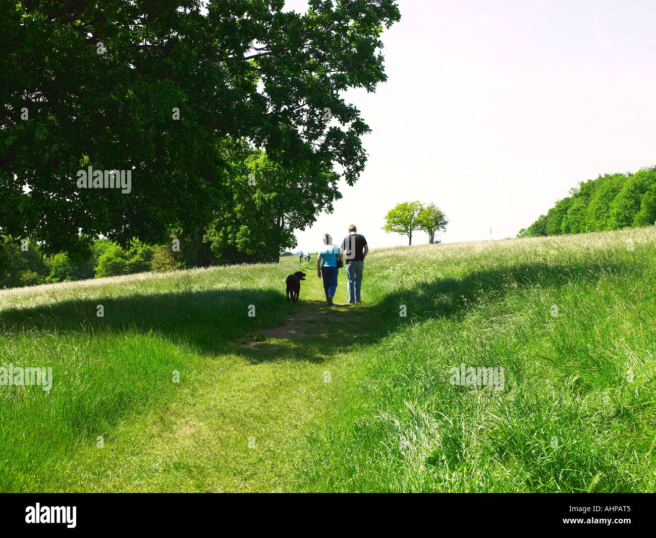 Walking man woman dog hi-res stock photography and images - Alamy