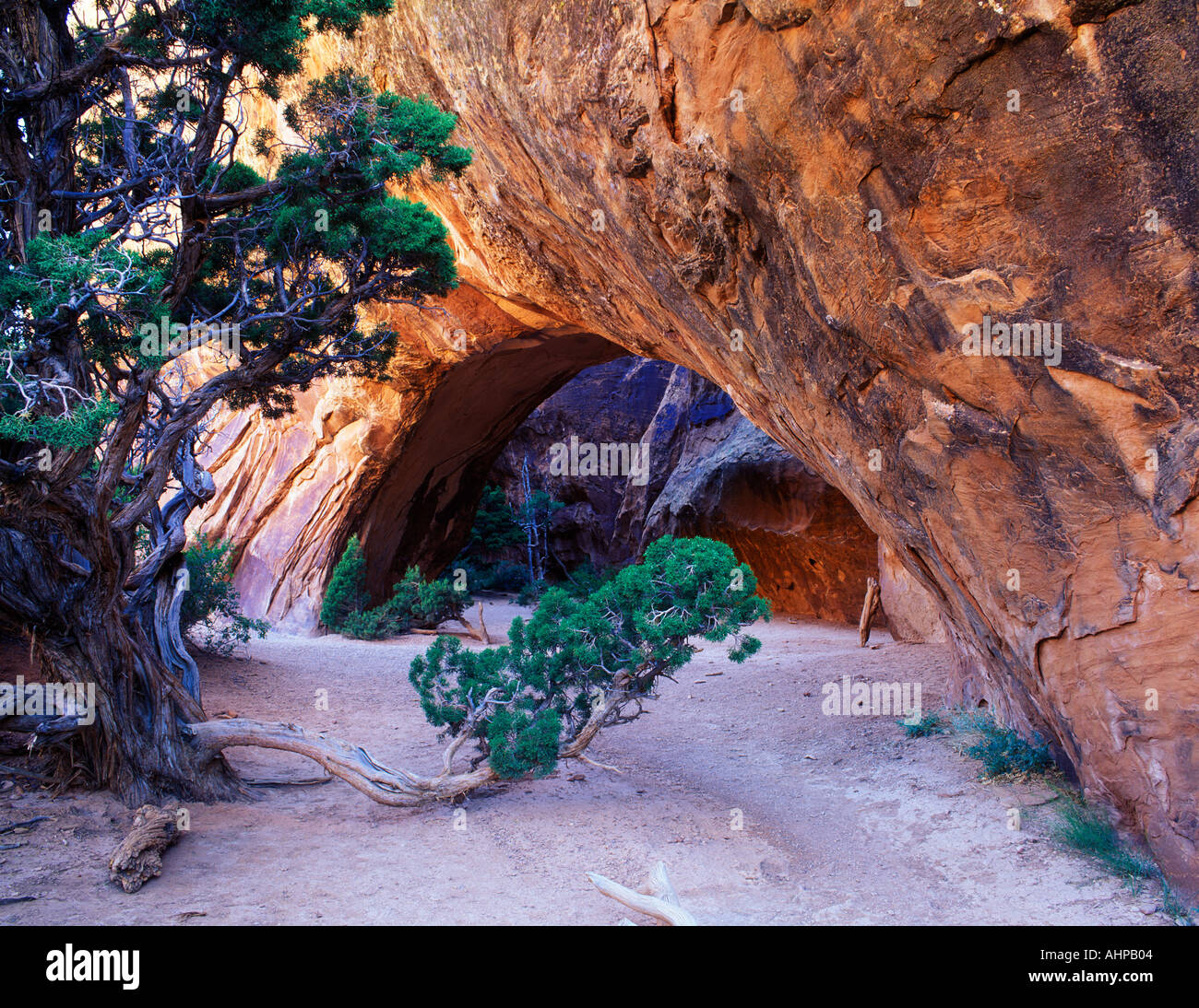 Navajo Arch Stock Photos & Navajo Arch Stock Images - Alamy