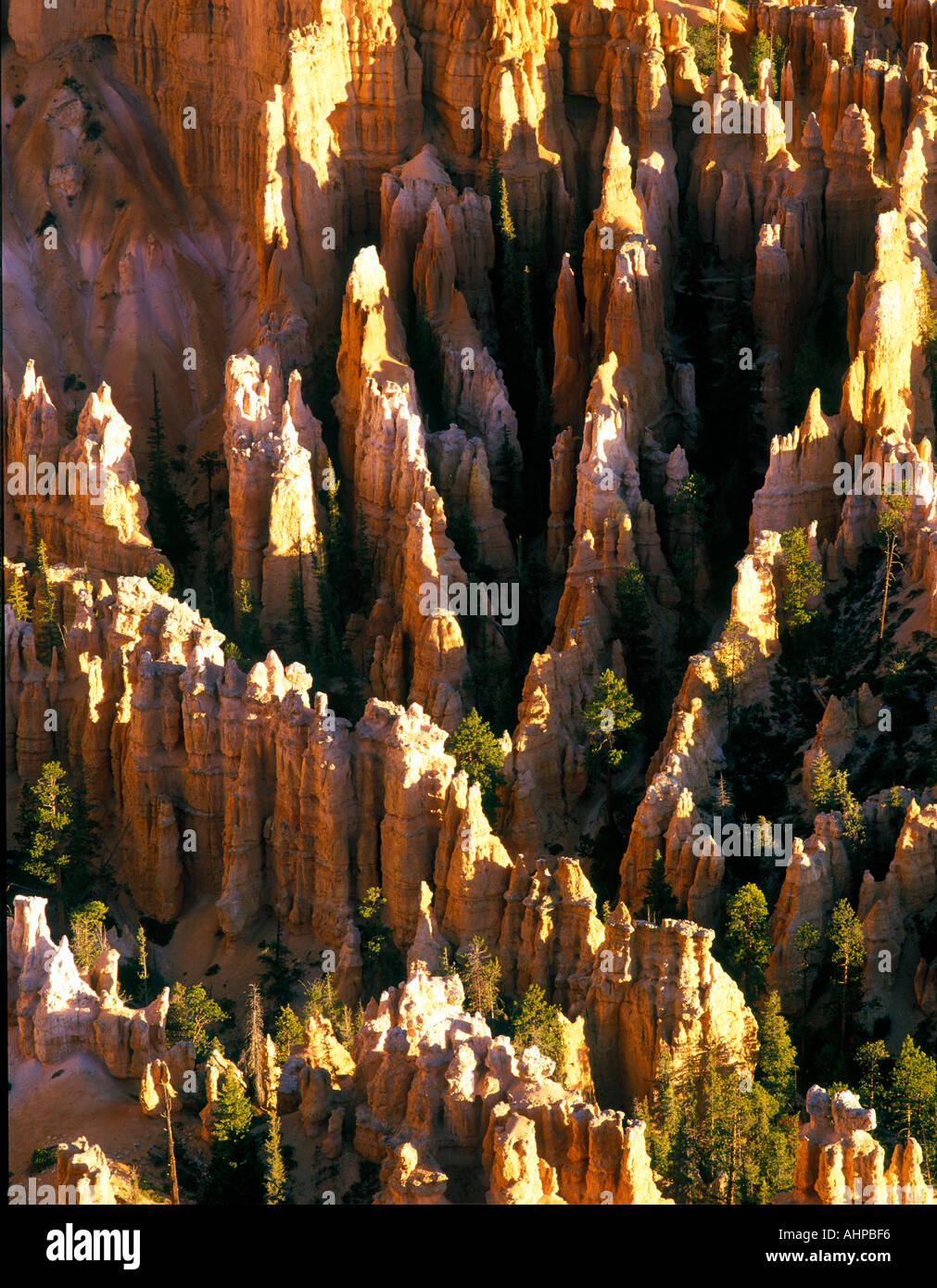 Close up view of pinnacles at Bryce Canyon National Park Utah Stock Photo