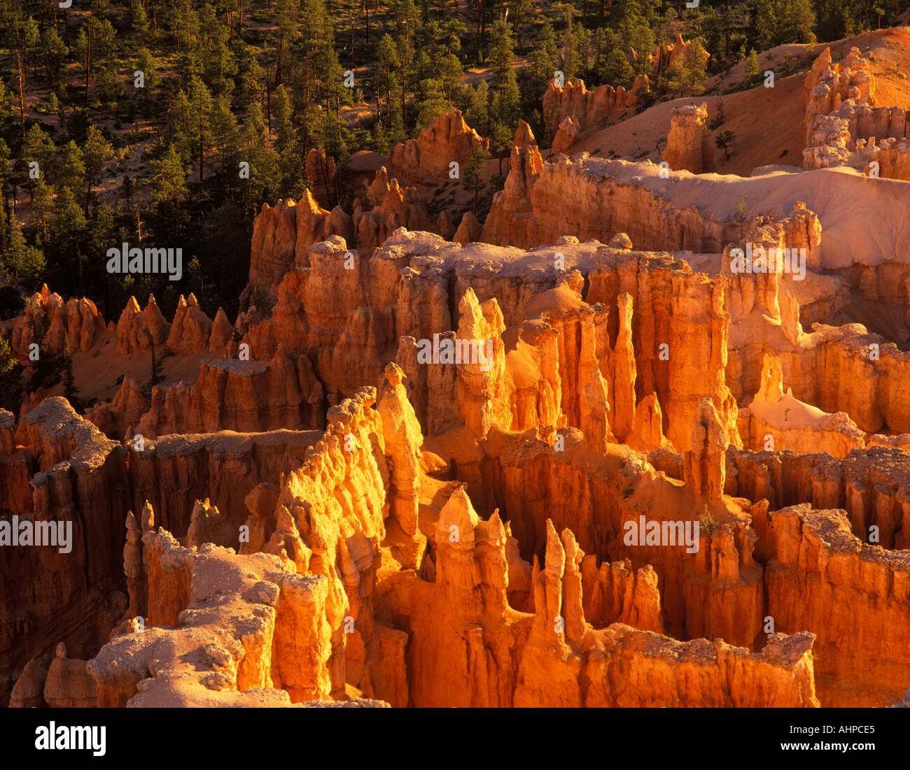 Closeup view of pinnacles at Bryve Canyon National Park Utah Stock Photo