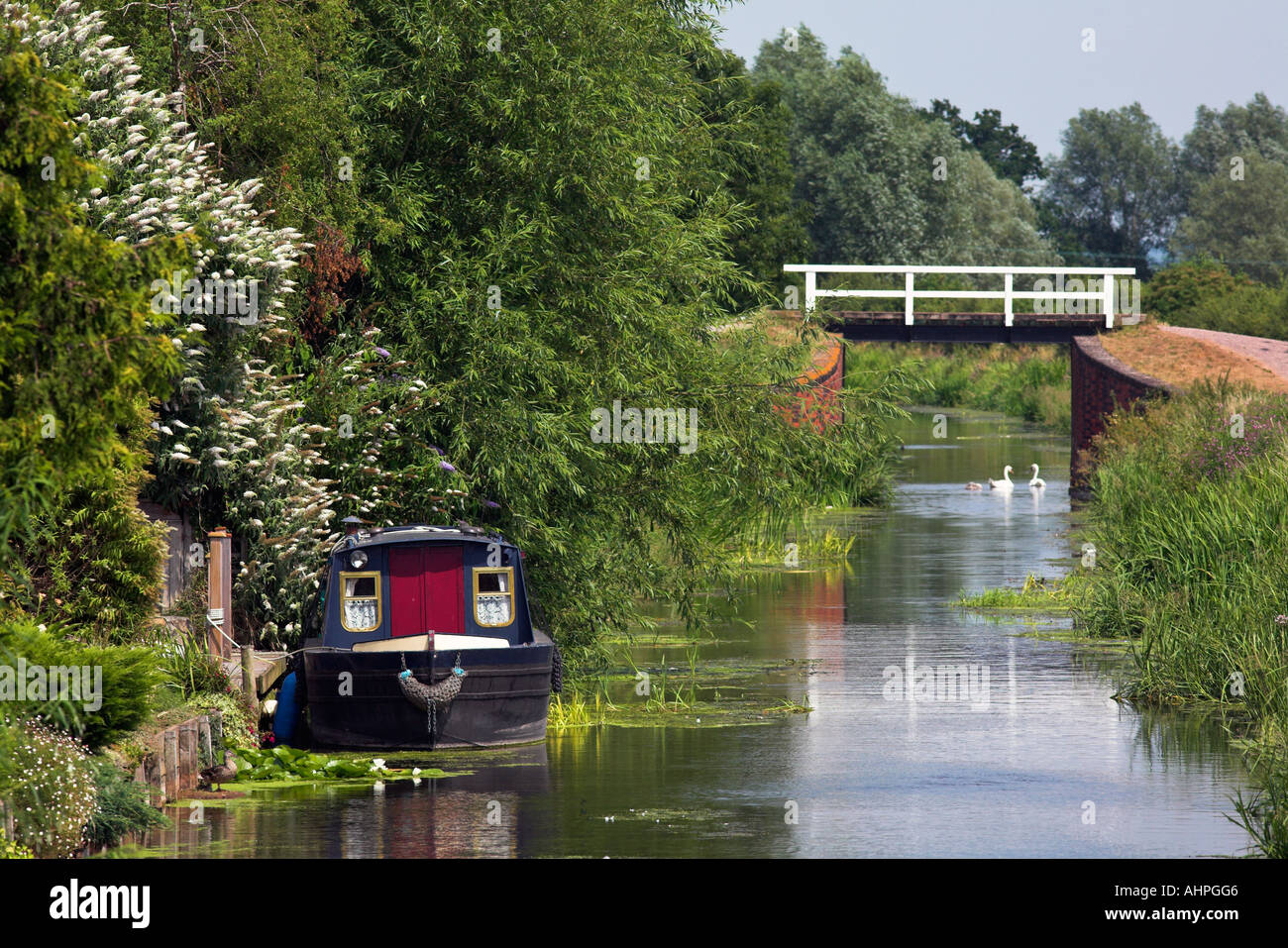 Bridgwater and Taunton Canal, Somerset, England Stock Photo