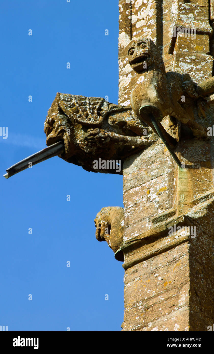 Gargoyle on Parish Church of St John the Baptist, Wellington, Somerset, England Stock Photo