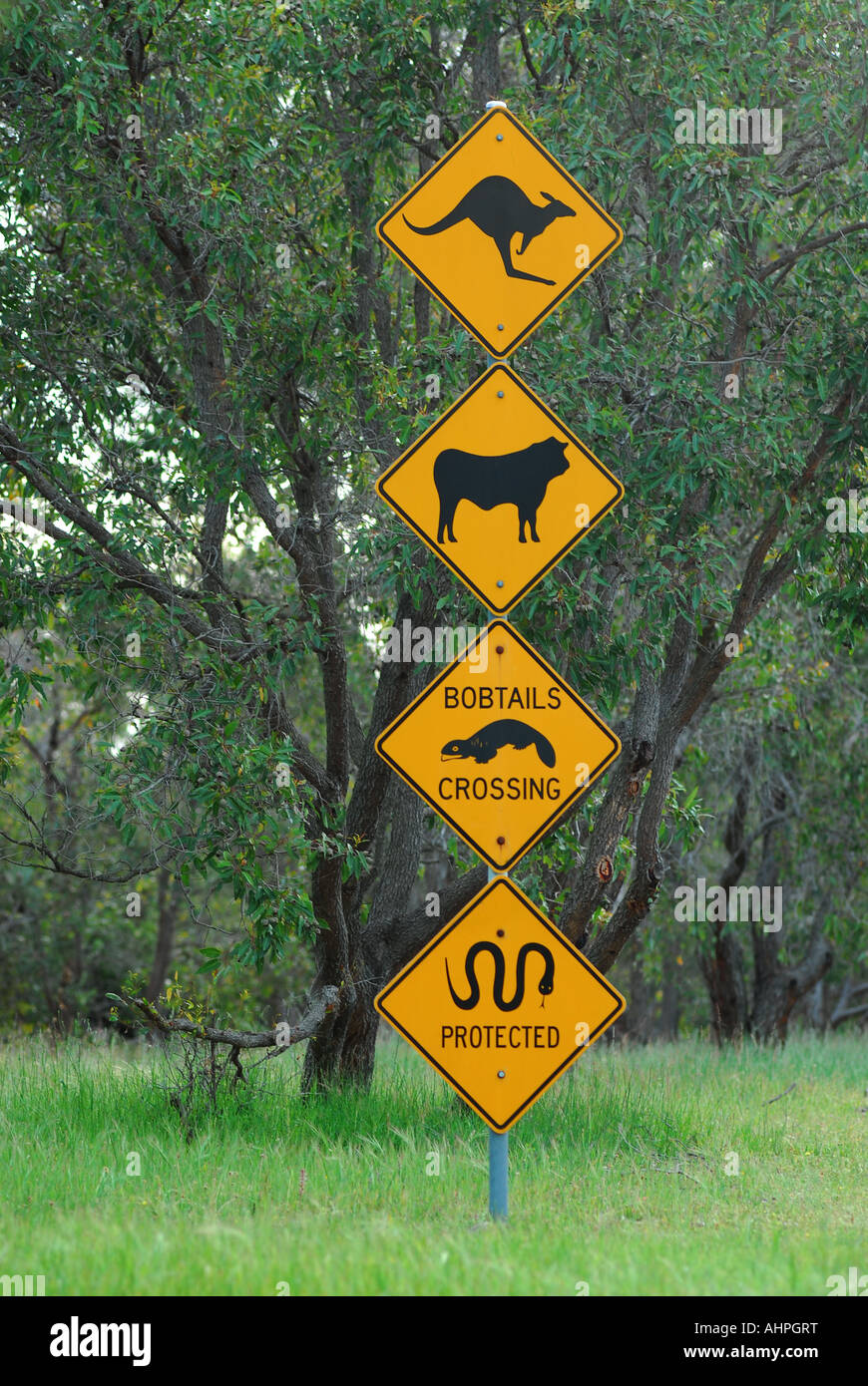 131 Warning Signs Dangerous Wildlife Stock Photos - Free & Royalty-Free  Stock Photos from Dreamstime