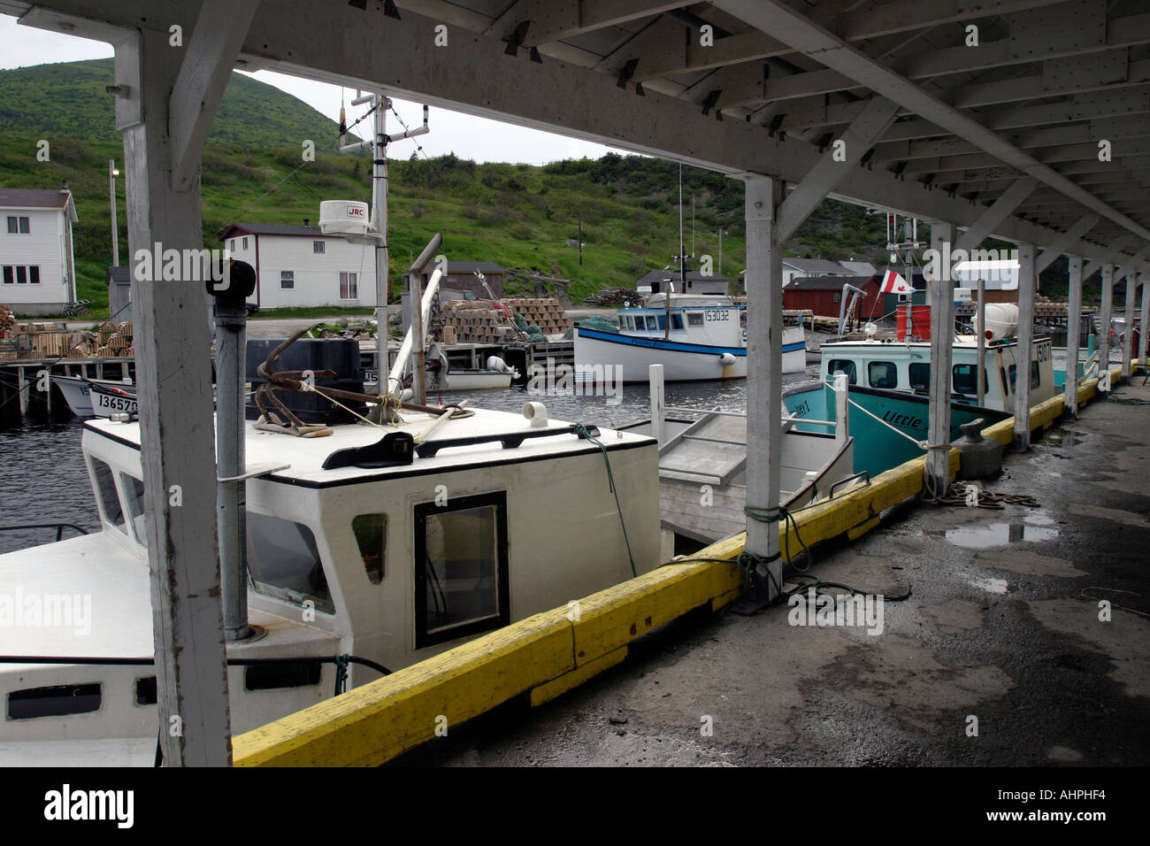 Trout river fishing Harbour western Newfoundland Canada Stock Photo Alamy