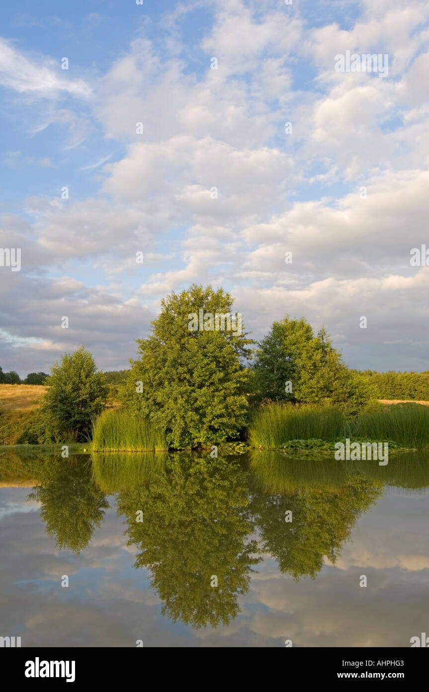 Tranquil summer's day on a fishing lake with the reflection of the sky and vegetation on the water. Stock Photo