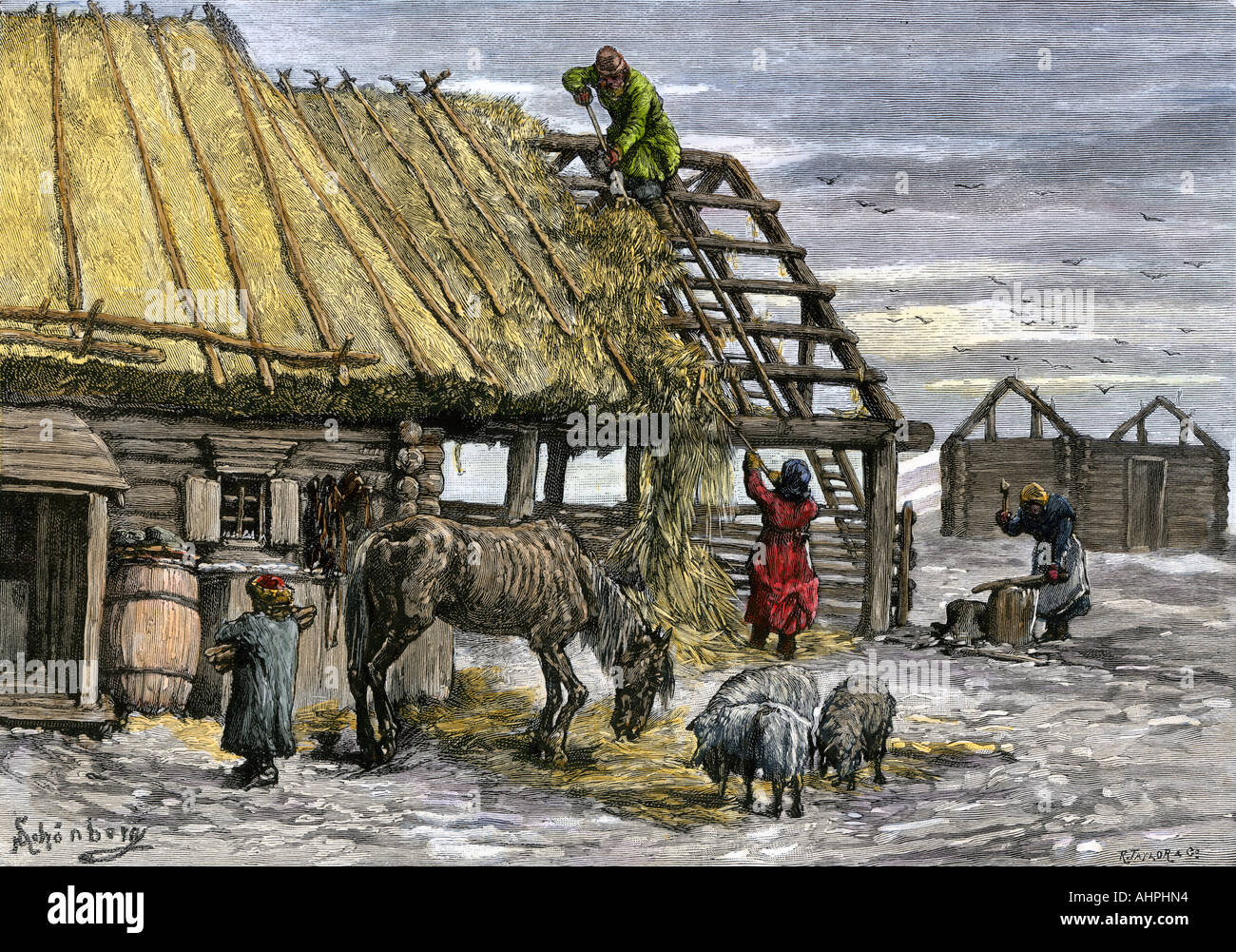 Russian serfs using thatch from their roofs to feed livestock during a famine 1890s. Hand-colored woodcut Stock Photo