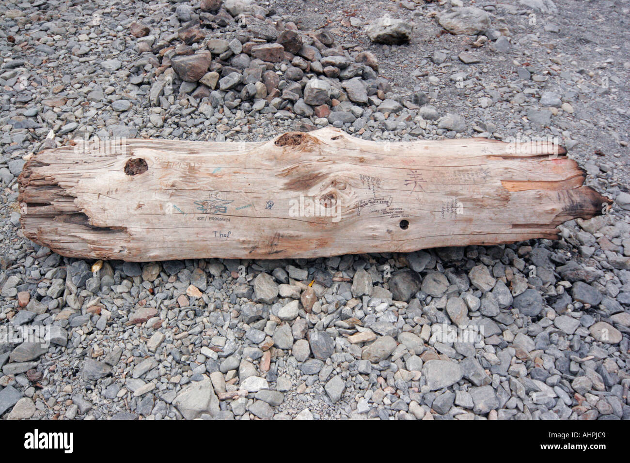 Willow Creek California USA Pacific Ocean Driftwood log with graffiti Stock Photo
