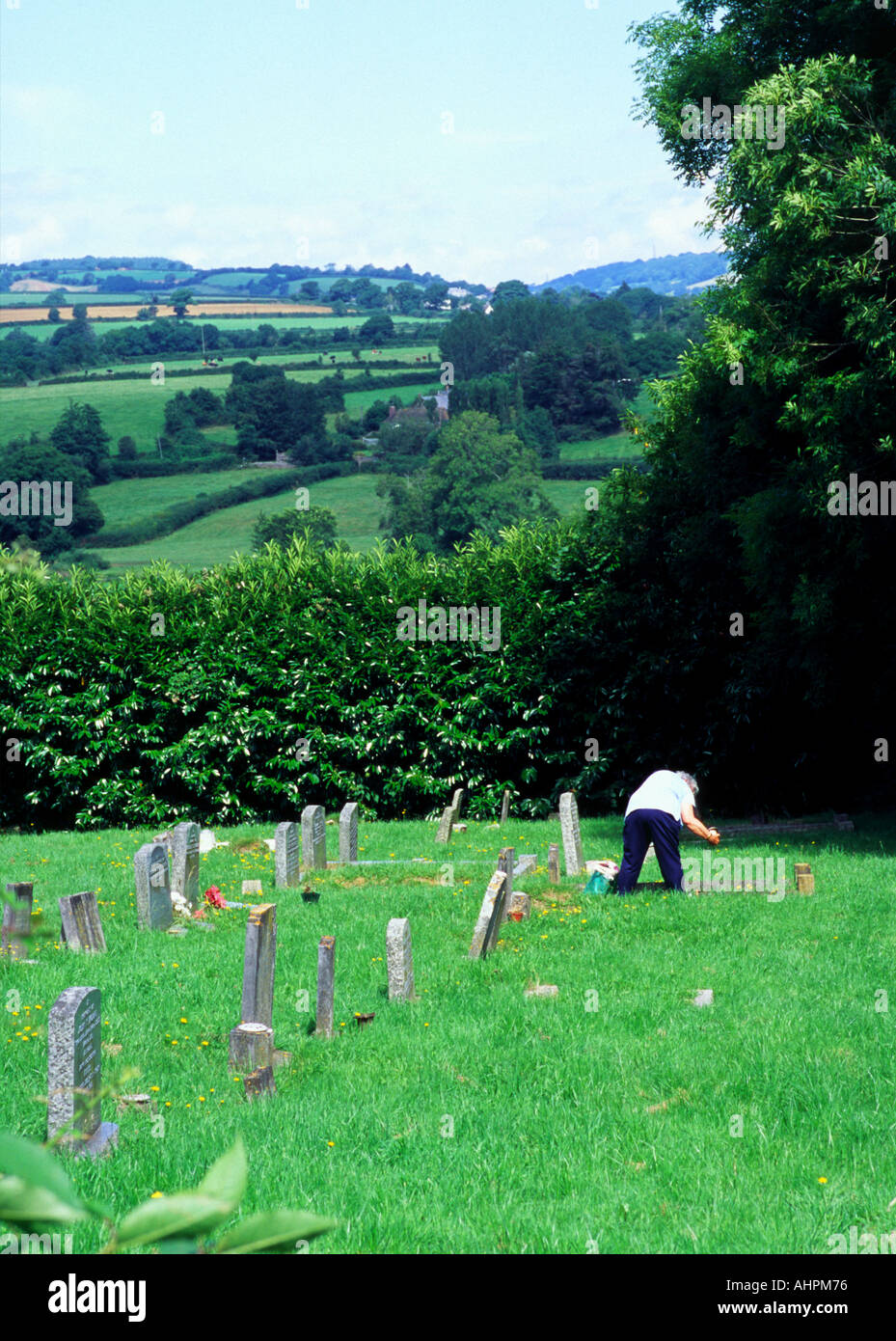 Woman laying wreath Kent England Stock Photo