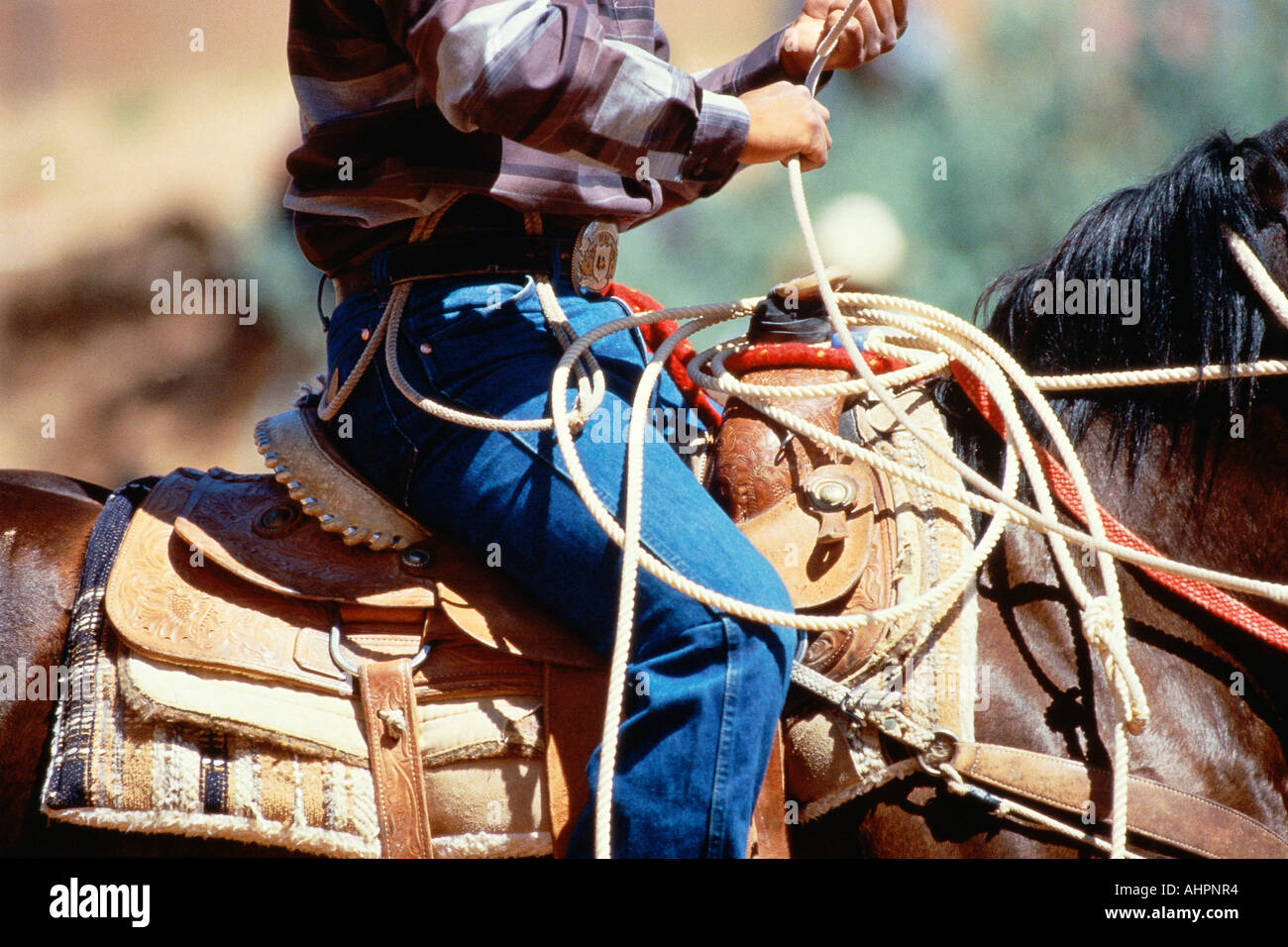 Cowboy riding horse with rope Gallup New Mexico Stock Photo Alamy