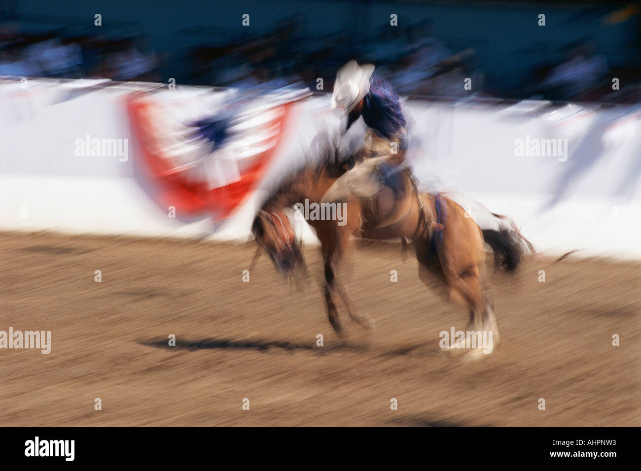 Photo impression of bronco rider at a rodeo Santa Barbara California Stock Photo
