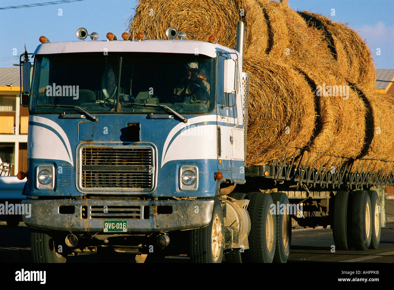 Semi truck with load of hay Stock Photo Alamy