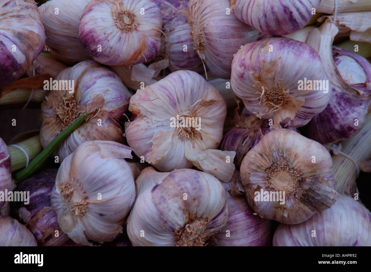 A display of garlic at a local market in the Gers region of France Stock Photo