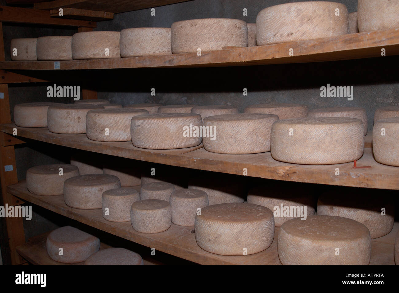 Goats cheese in store at a Fromage Fermier n the Gers region of France  Stock Photo