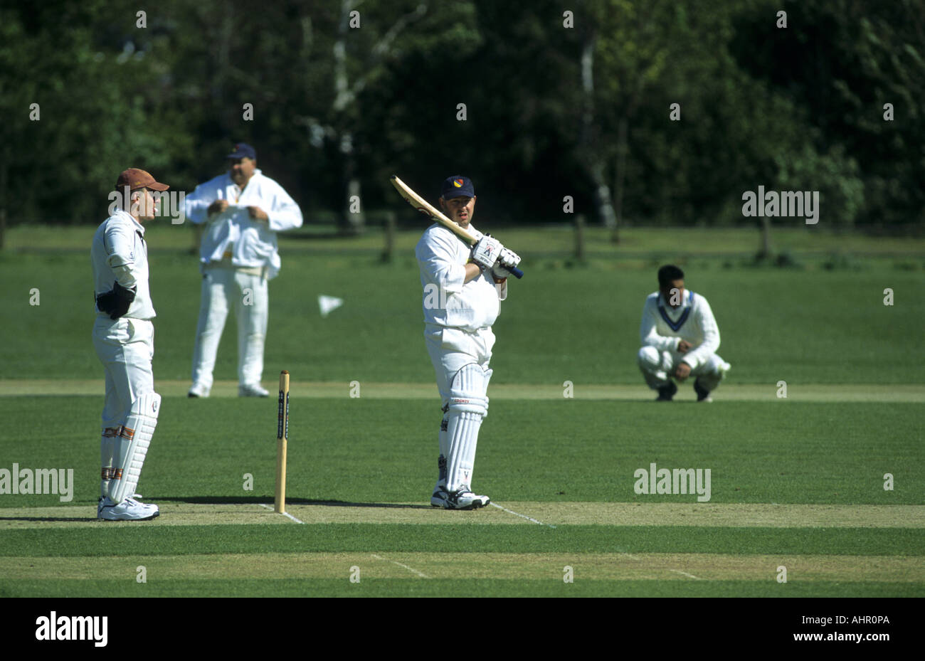 Cricket fielding positions hires stock photography and images Alamy
