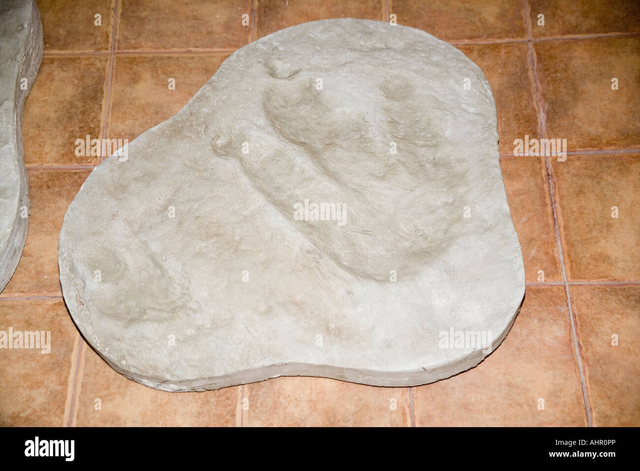 Cast of Dinosaur footprints at the Parque Cretacico, Cal Orko Mountain