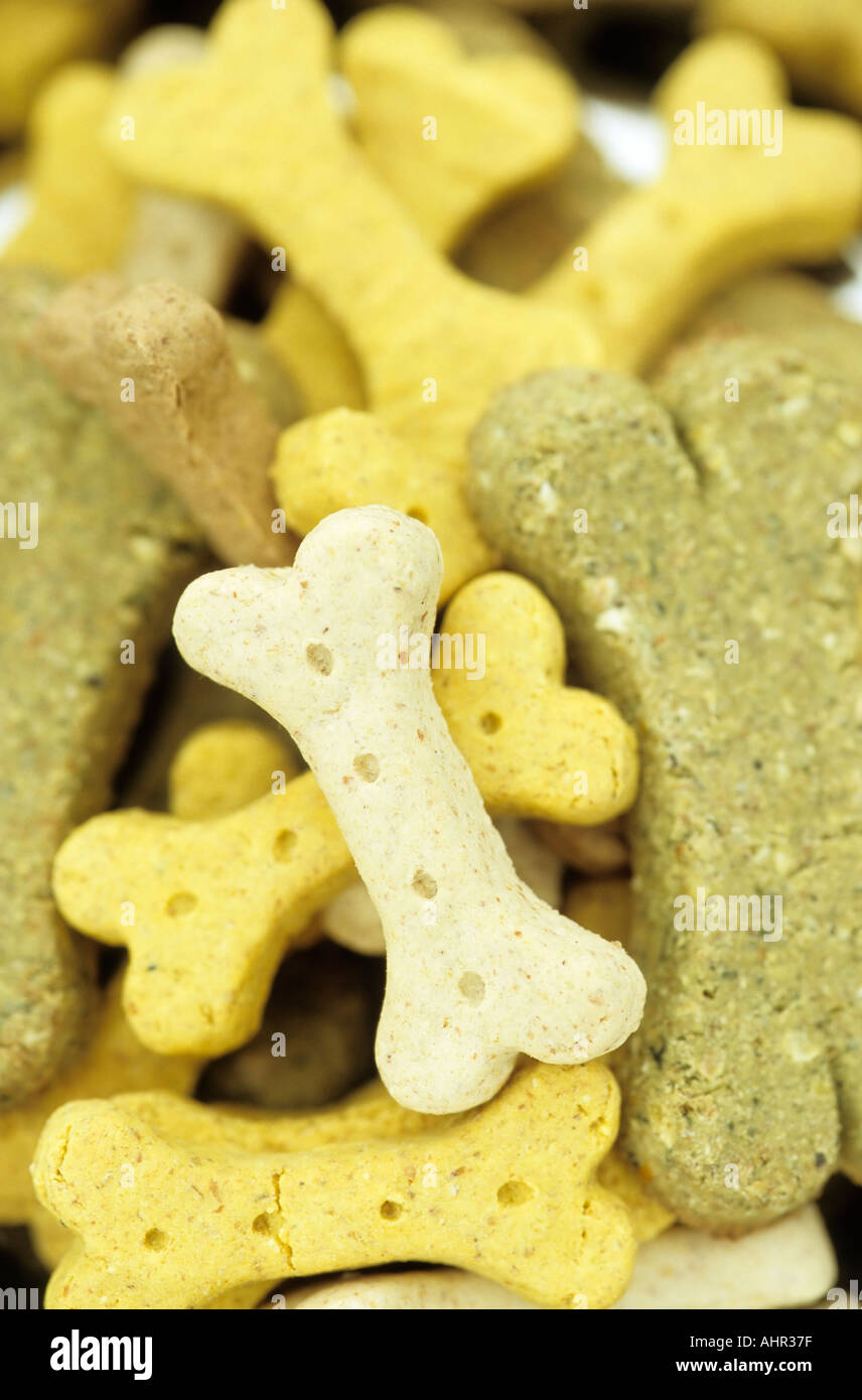Differential focus dog biscuit hires stock photography and images Alamy