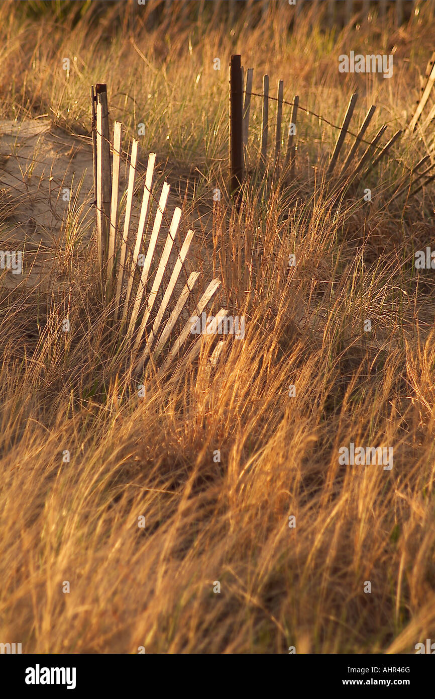 Dune Fence in Bethany Beach, Delaware Stock Photo Alamy