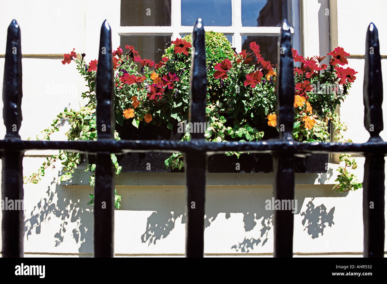 Window box and railings Stock Photo Alamy