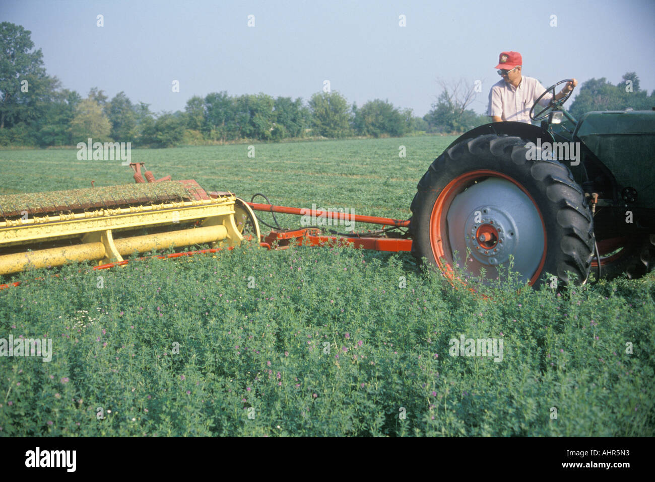 Cut in field hi-res stock photography and images - Alamy