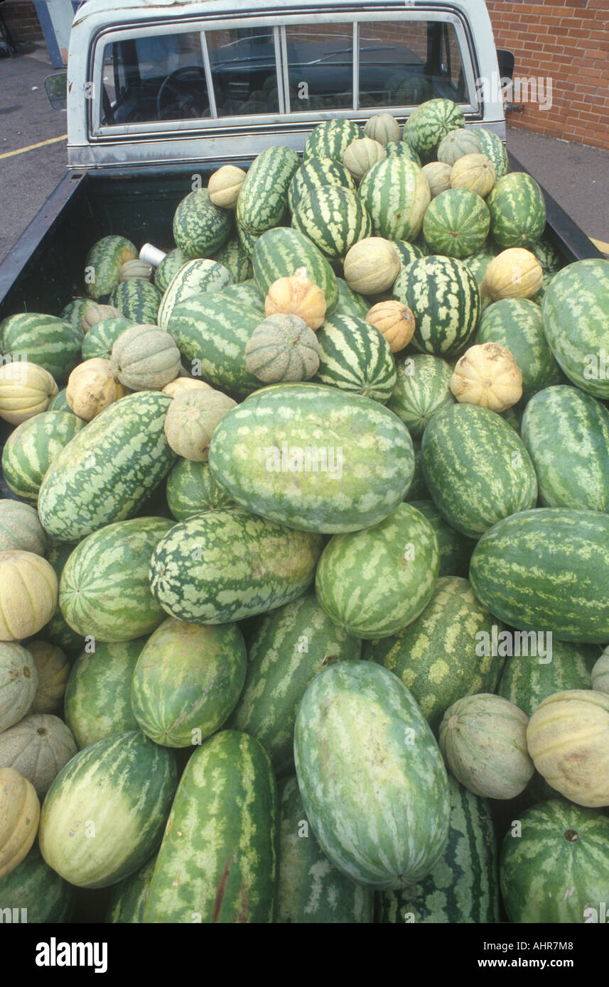 Watermelons in a pickup truck Augusta GA Stock Photo