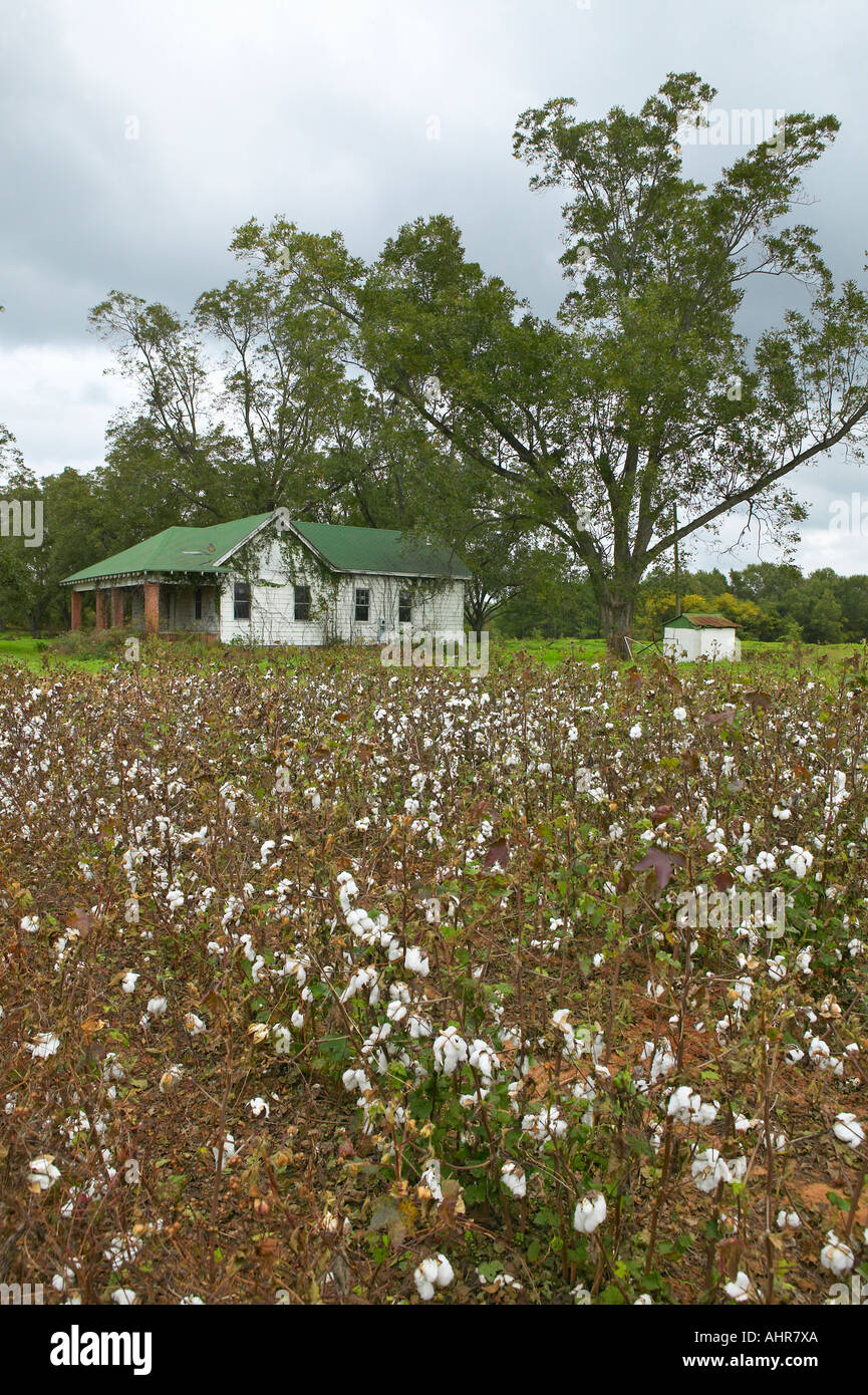 Photography of fields hi-res stock photography and images - Alamy