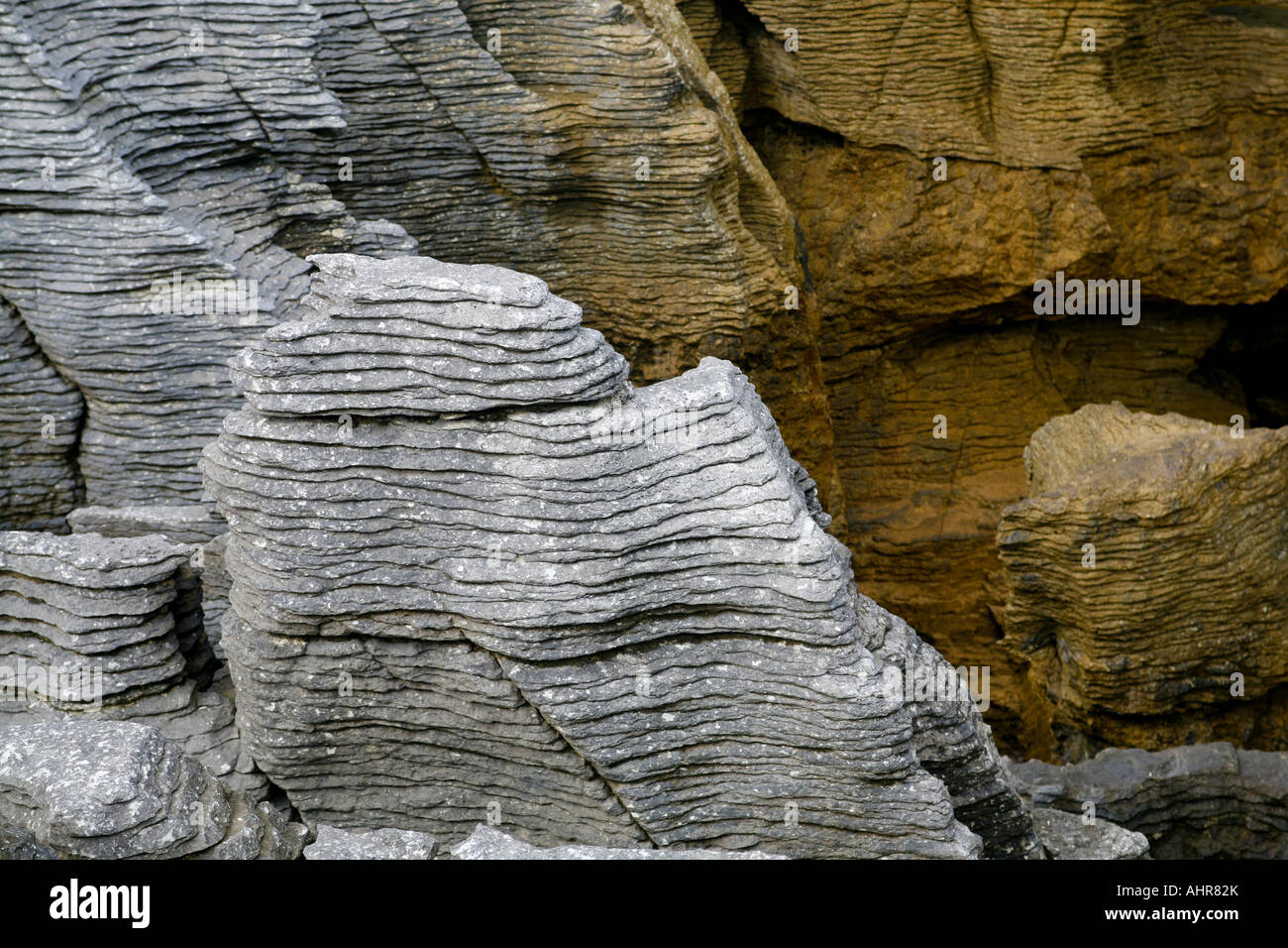 Pancake Rocks Geological Process Detail of Pancake Rocks, New Zealand Stock Photo - Alamy