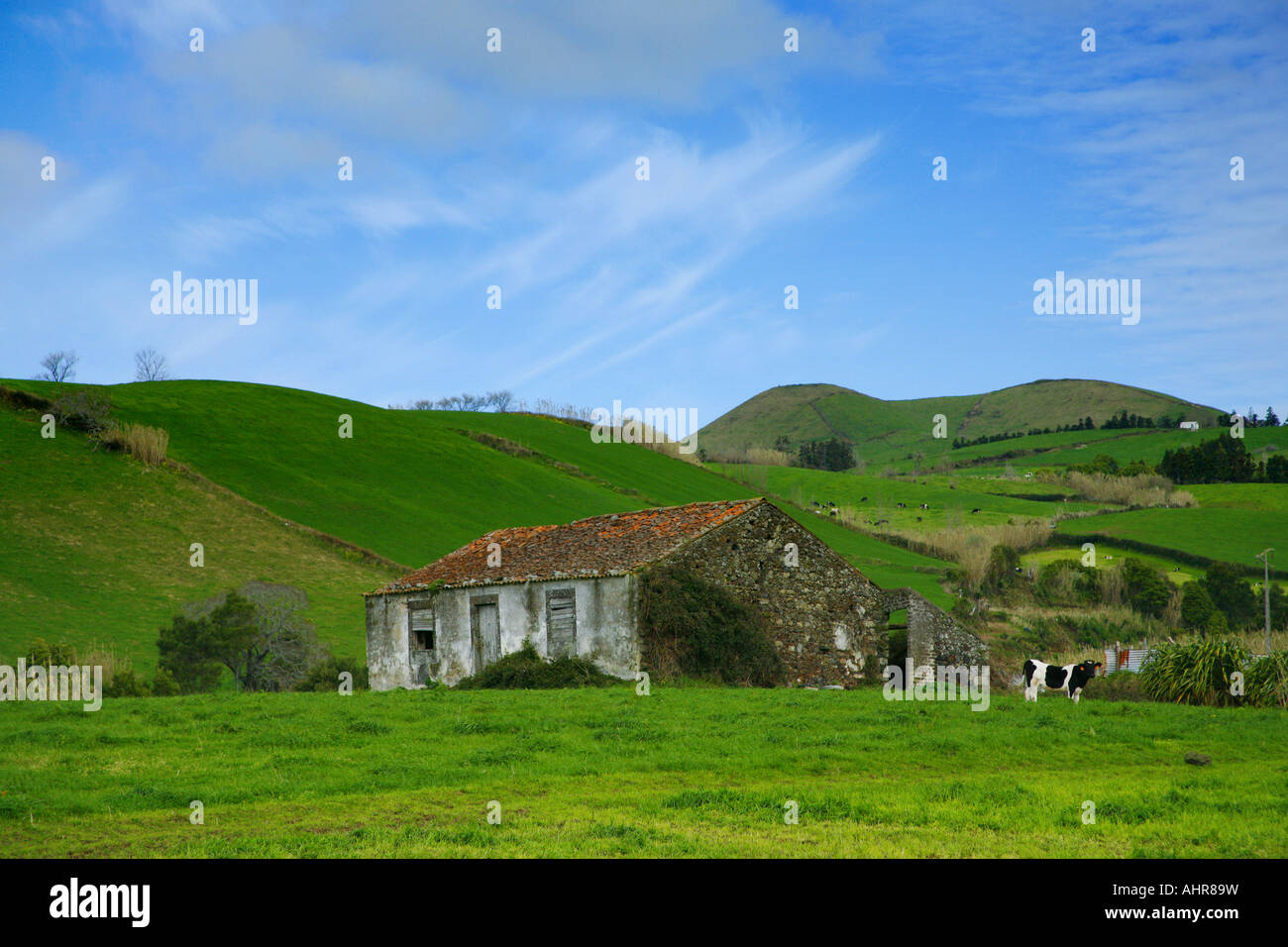 Rural landscape near the town of Agua de Pau. Sao Miguel island, Azores