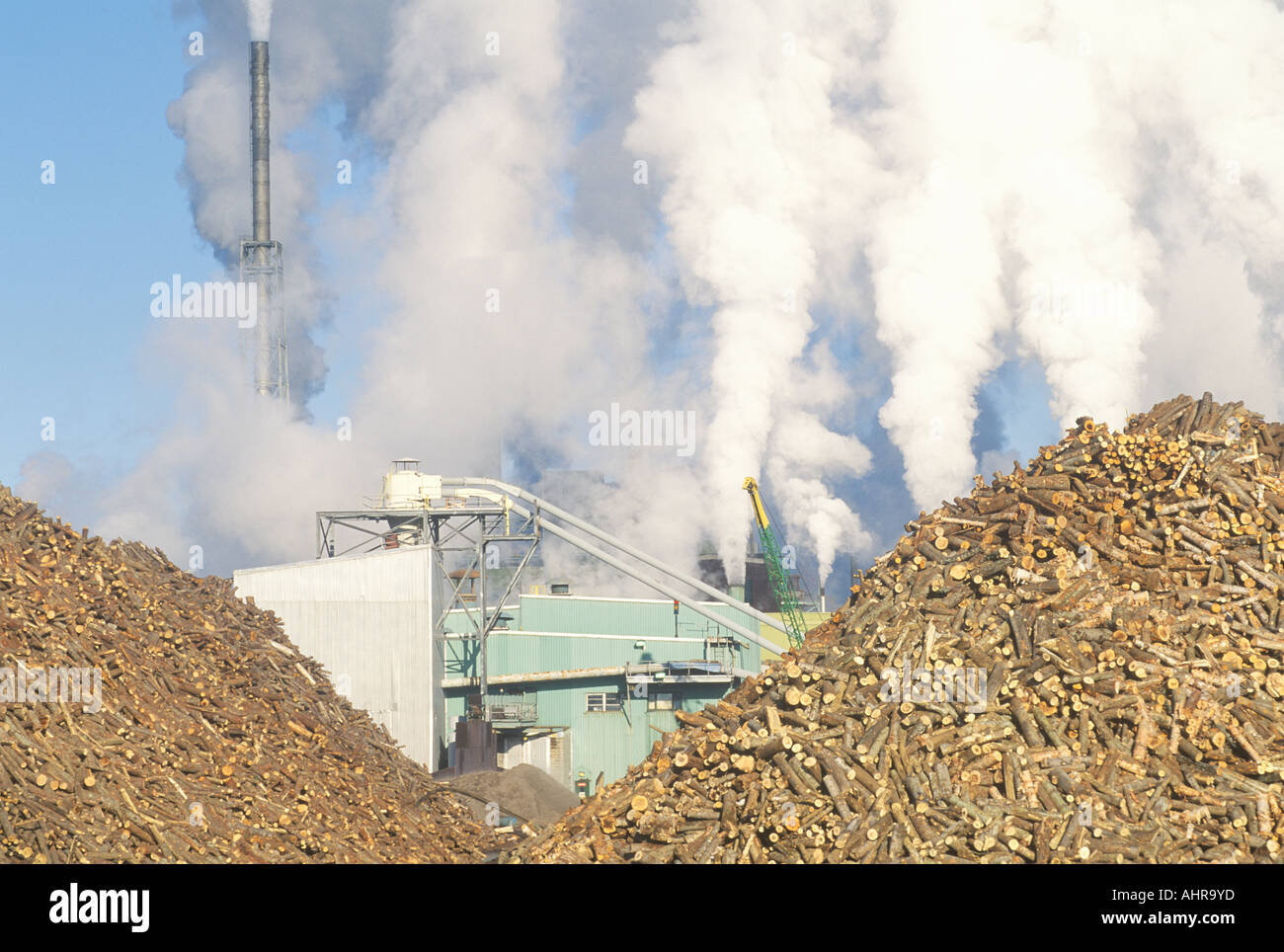 Smoke fills the air behind two large piles of logs lying in the yard of