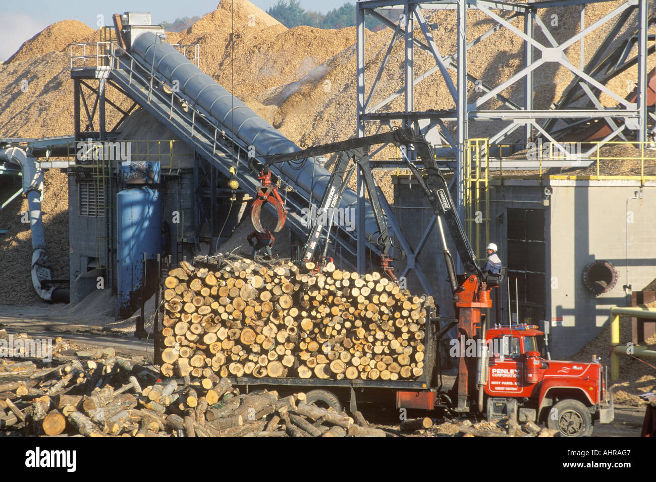 Logs being lifted from a truck into the milling process at a Boise