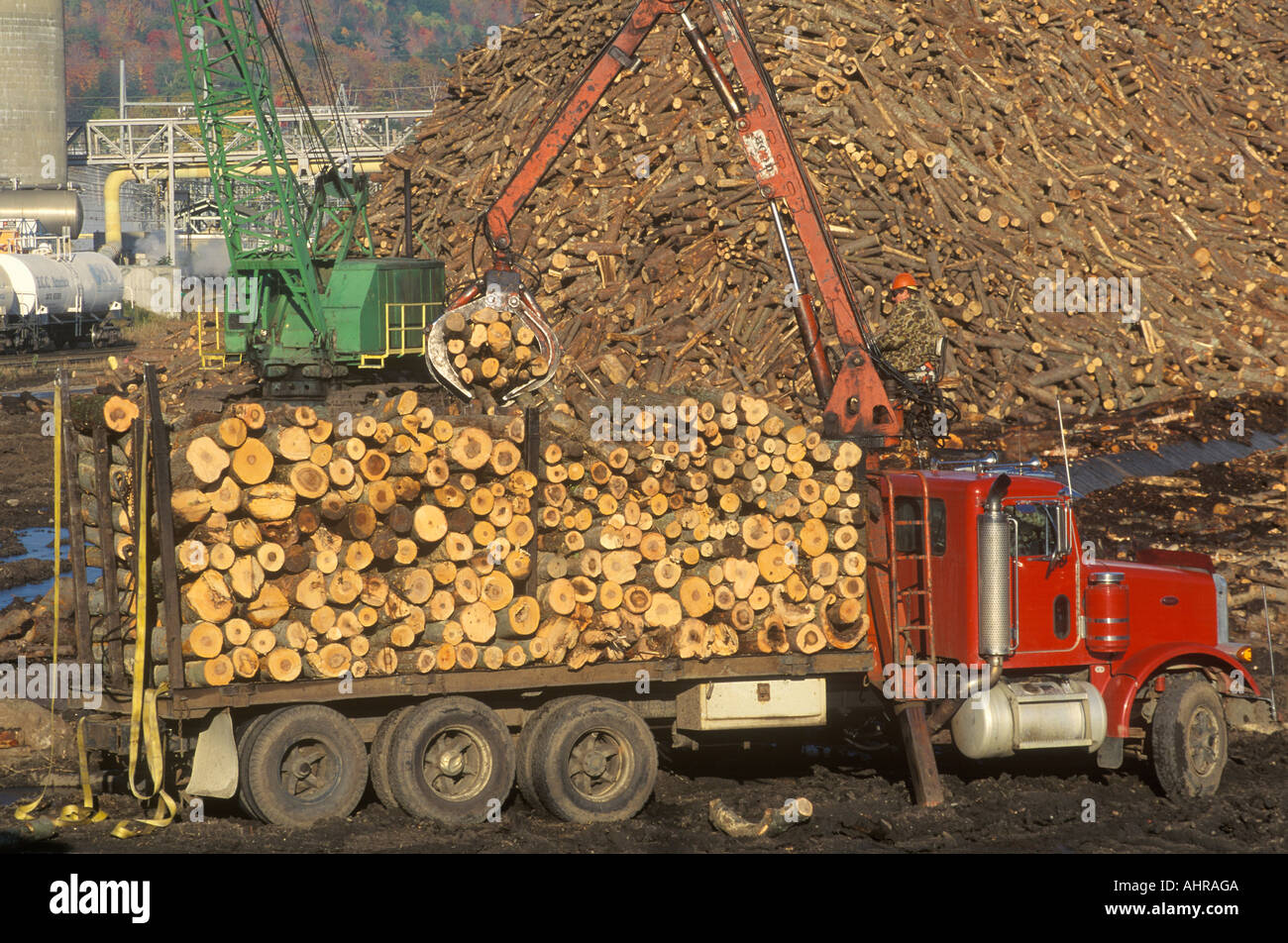 Cranes adding logs to the large pile of wood ready to be made into paper at the Boise Cascade Paper Plant in Rumford Maine Stock Photo