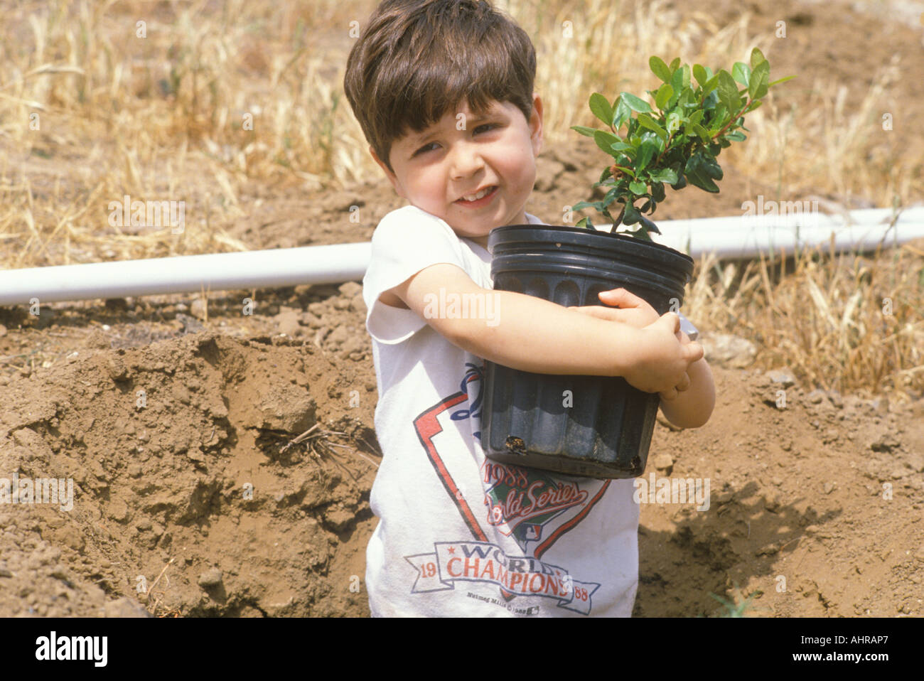 A boy holding a tree to be planted on Earth Day Stock Photo
