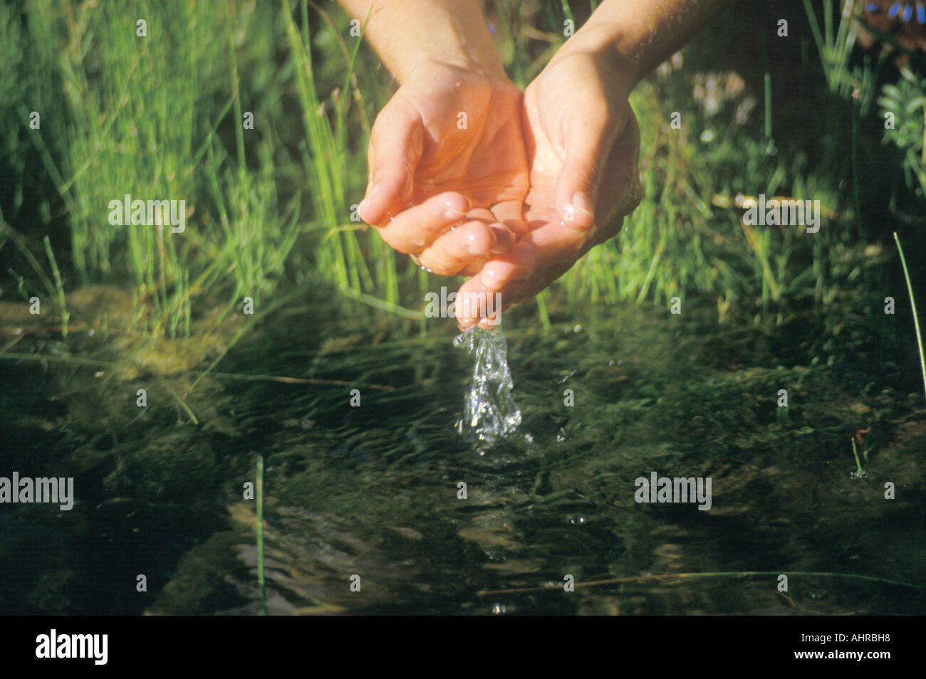 A pair of hands entering a river to get clean water Stock Photo