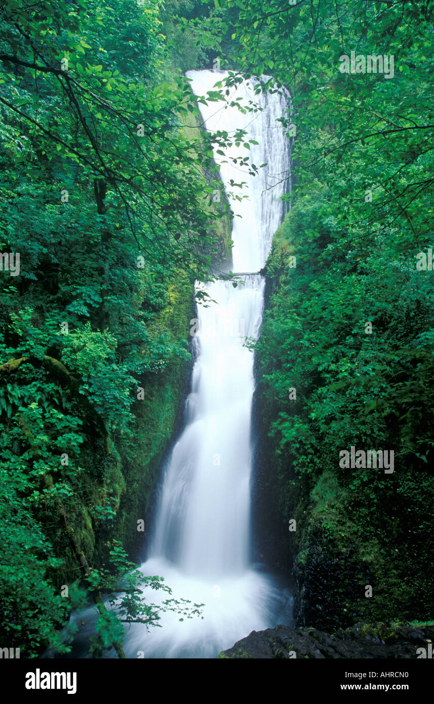 Bridal Veil Falls Oregon Stock Photo Alamy