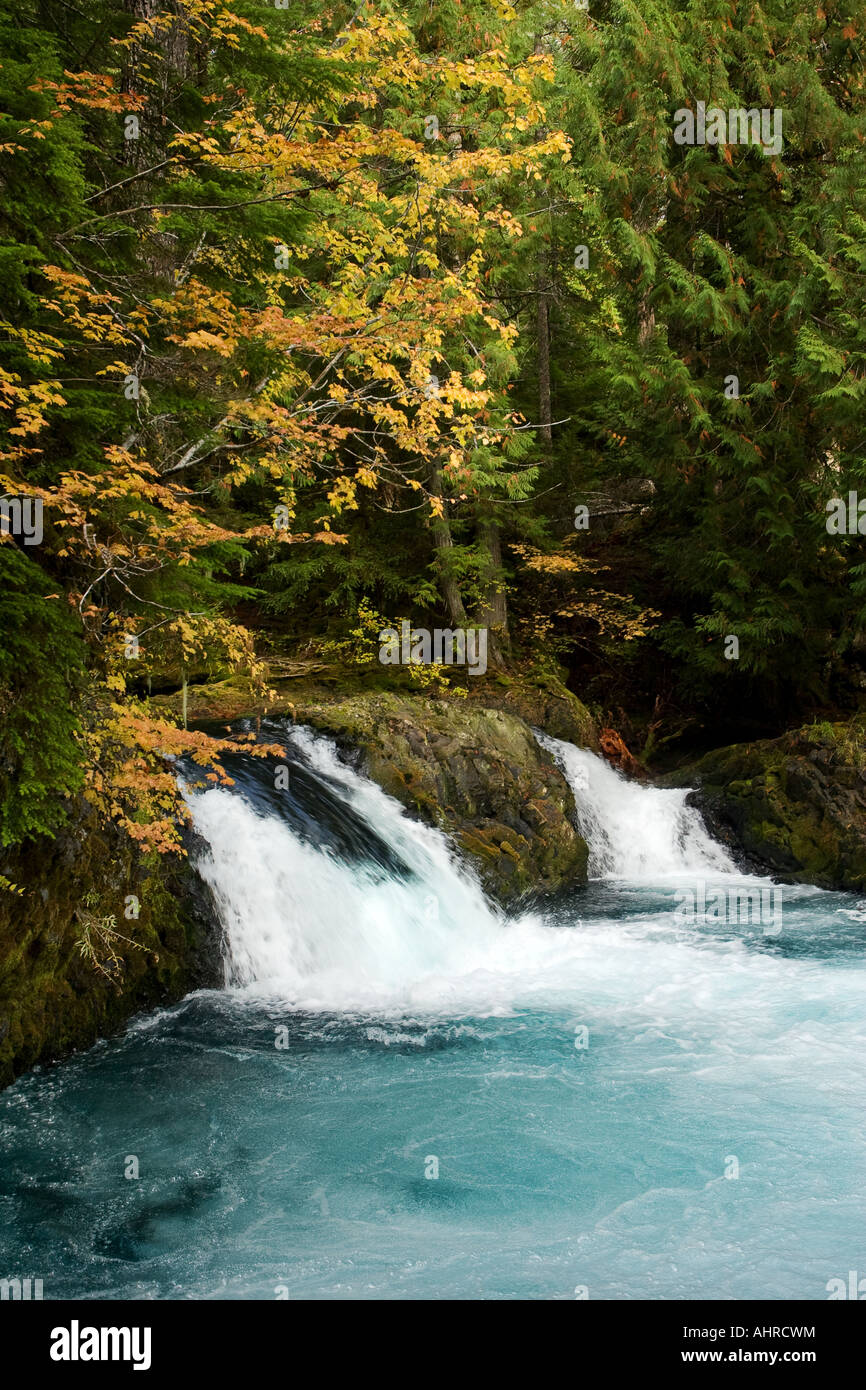 Waterfall and Fall Color on the McKenzie River in the Oregon Cascades ...