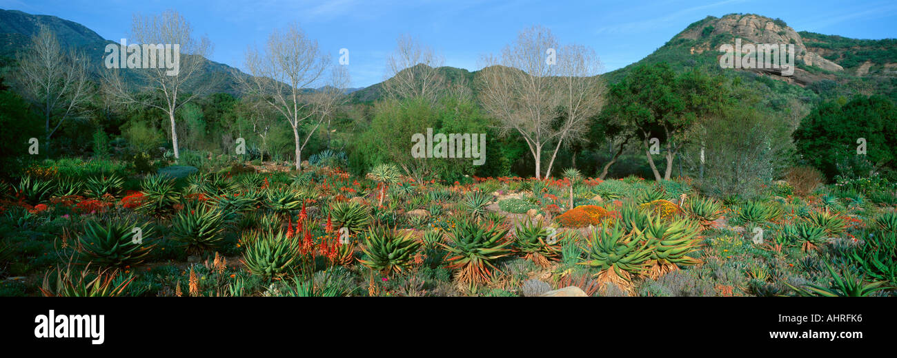 Garden At Center for Earth Concerns Ojai California Stock Photo