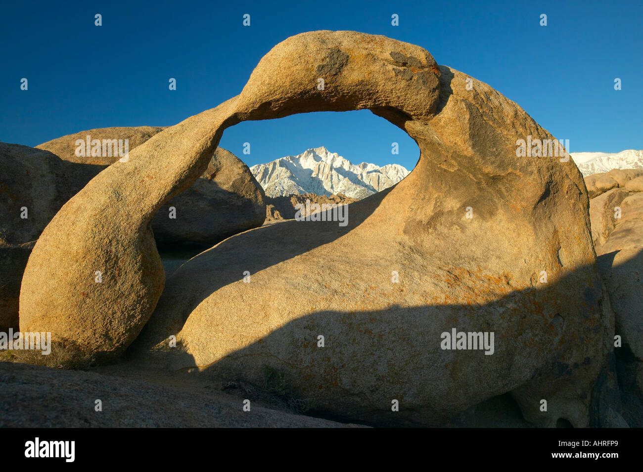 The Alabama Hills Arch framing Mount Whitney and the snowy Sierra
