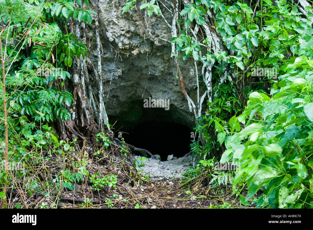 Entrance to Thousand Man Cave Japanese WWII War Relic Ruins Peleliu Palau Stock Photo