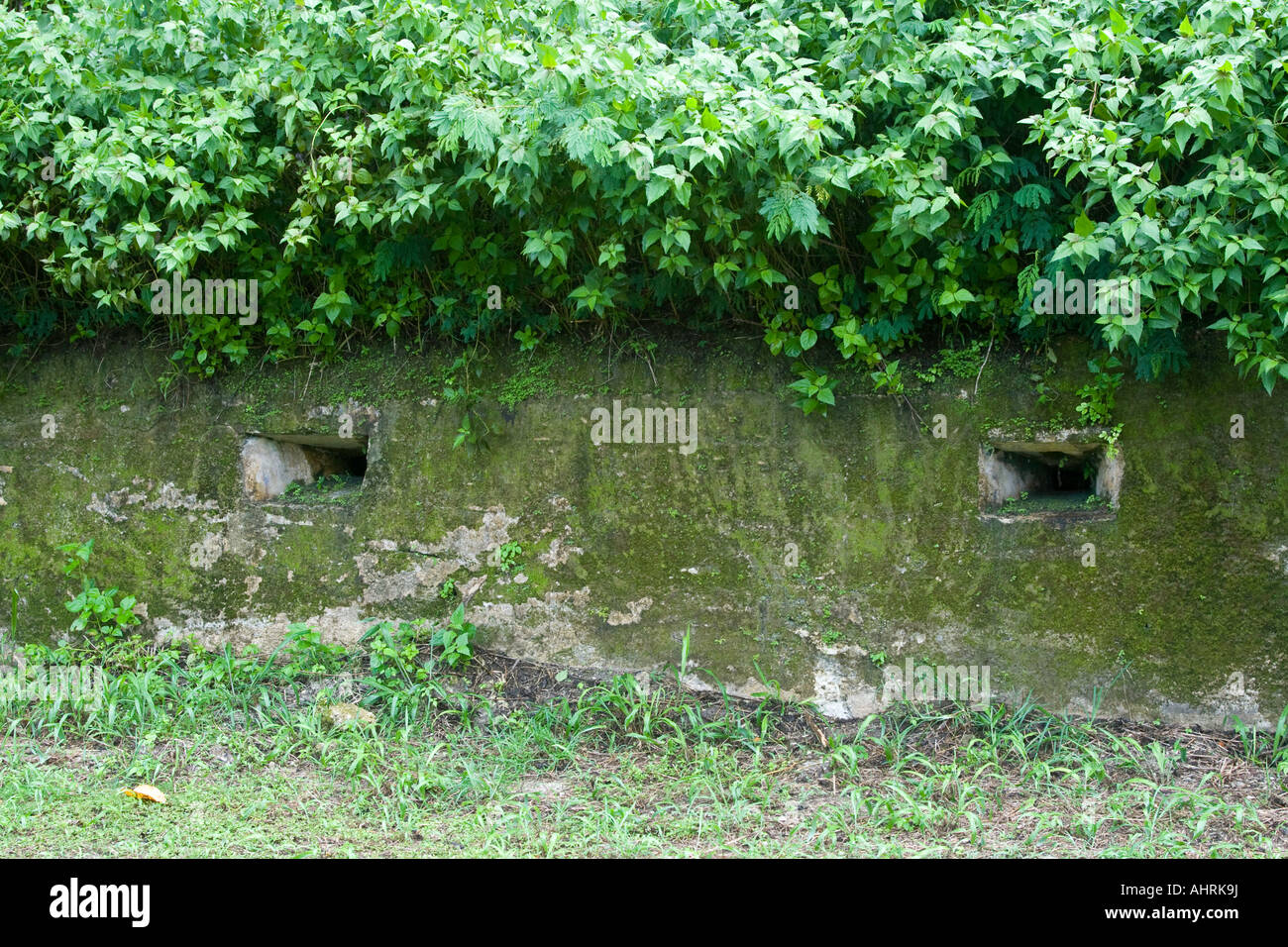 Concrete Bunker Attached to Thousand Man Cave Japanese WWII Stock Photo