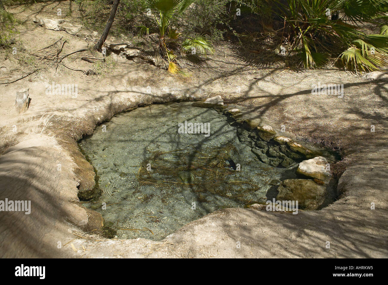 Source of spring water in Agua Canyon Tucson AZ Stock Photo