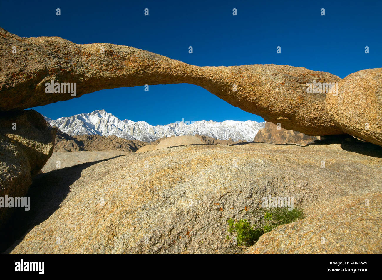 The Alabama Hills Arch framing Mount Whitney and the snowy Sierra